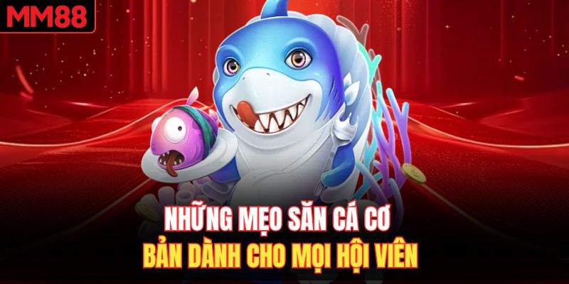 Những mẹo săn cá cơ bản dành cho mọi hội viên