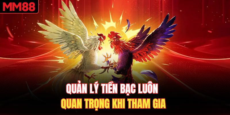 Quản lý tiền bạc luôn quan trọng khi tham gia